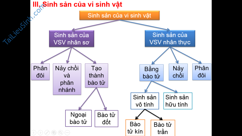 Tóm tắt lý thuyết Bài 25 - SINH TRƯỞNG CỦA VI SINH VẬT - Sinh 10