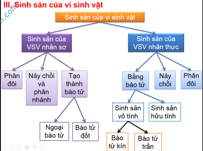 Tóm tắt lý thuyết Bài 25 - SINH TRƯỞNG CỦA VI SINH VẬT - Sinh 10