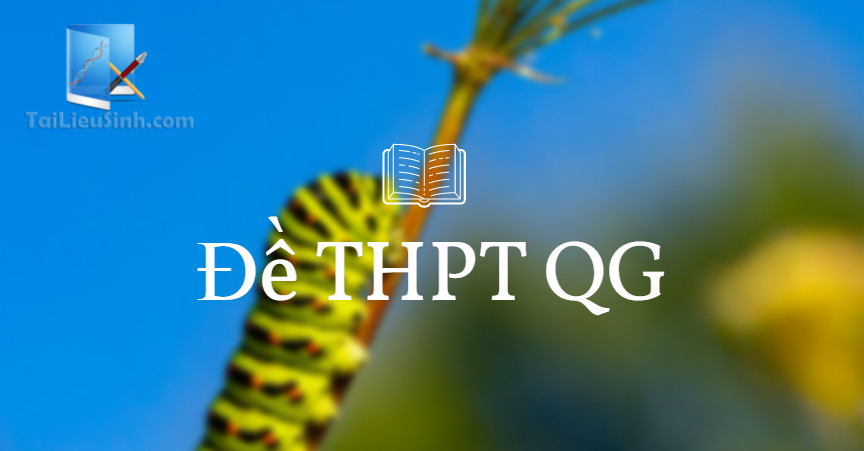 Đề thi THPT QG 2021 - Mã đề 201 (có xem nhanh đáp án)