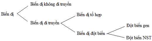 SINH HỌC 9 - BÀI 21: ĐỘT BIẾN GEN - TÓM TẮT LÝ THUYẾT + TRẮC NGHIỆM