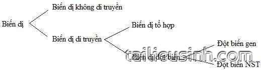 SINH HỌC 9 - BÀI 21: ĐỘT BIẾN GEN - TÓM TẮT LÝ THUYẾT + TRẮC NGHIỆM