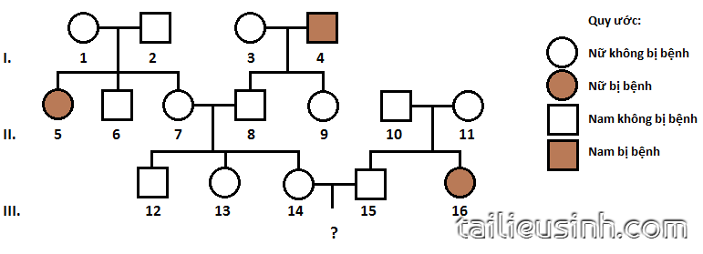 TRẮC NGHIỆM BÀI 21: DI TRUYỀN Y HỌC - SINH HỌC 12