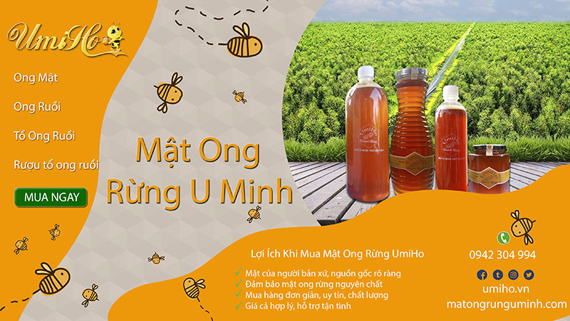 mat ong rung u minh