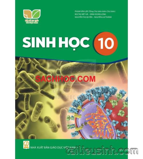 Giáo án Sinh 10 - Kết nối tri thức với cuộc sống