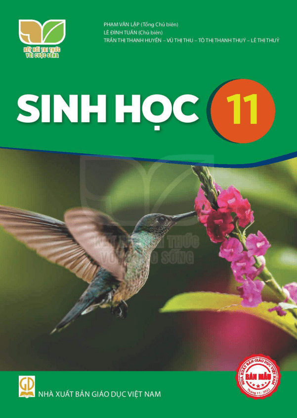 Sách giáo khoa Sinh 11 bản pdf - Kết nối tri thức và cuộc sống