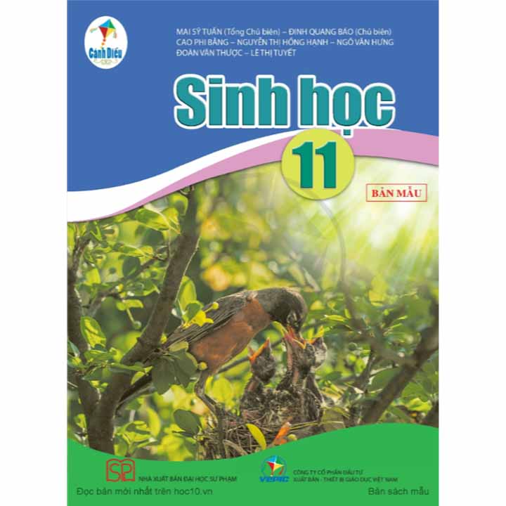 Sách giáo Khoa Sinh học 11 bản pdf - Cánh diều