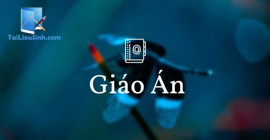 Giáo án trình chiếu Bài 8: Tế bào nhân thực - Sinh 10 - Kết nối tri thức và cuộc sống