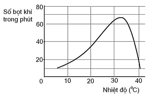 BÀI 6: HÔ HẤP Ở THỰC VẬT - [Trắc nghiệm Sinh 11 - kết nối tri thức và cuộc sống]