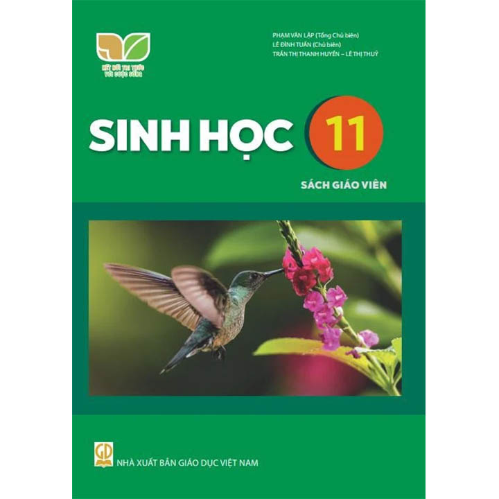 Sách Giáo viên Sinh học 11 - Kết nối Tri thức với cuộc sống