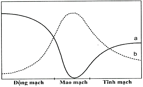 TUẦN HOÀN Ở ĐỘNG VẬT - [Trắc nghiệm Sinh 11]