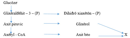 Bài 21. Trao đổi chất, sinh trưởng và sinh sản ở vi sinh vật - [Trắc nghiệm Sinh 10]
