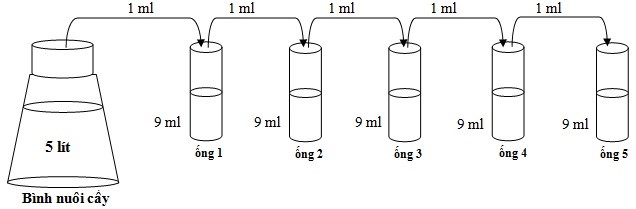 Bài 21. Trao đổi chất, sinh trưởng và sinh sản ở vi sinh vật - [Trắc nghiệm Sinh 10]