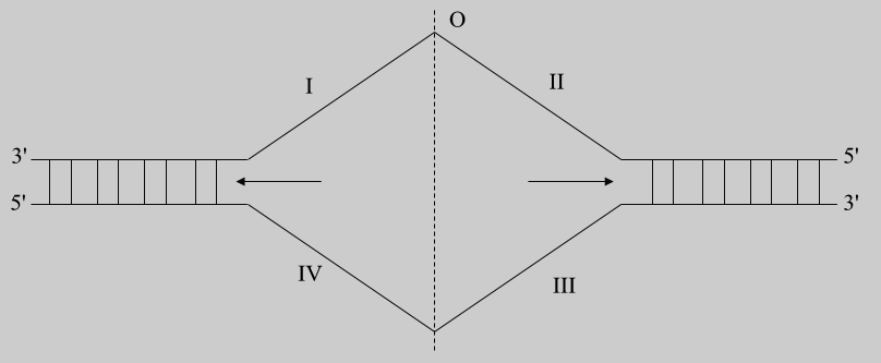 ĐỀ KIỂM TRA ĐỊNH KÌ HỌC KÌ I - [Trắc nghiệm Sinh 12]