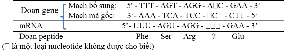 ĐỀ KIỂM TRA ĐỊNH KÌ HỌC KÌ I - [Trắc nghiệm Sinh 12]