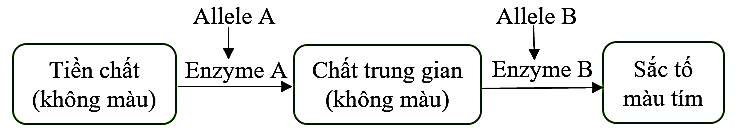 ĐỀ THI THỬ NGHIỆM TỐT NGHIỆP THPT NĂM 2026