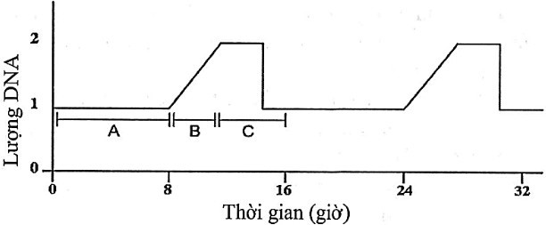 ĐỀ THI THỬ NGHIỆM TỐT NGHIỆP THPT NĂM 2026